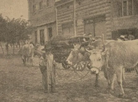 Kragujevac na fotografiji iz 1915. godine